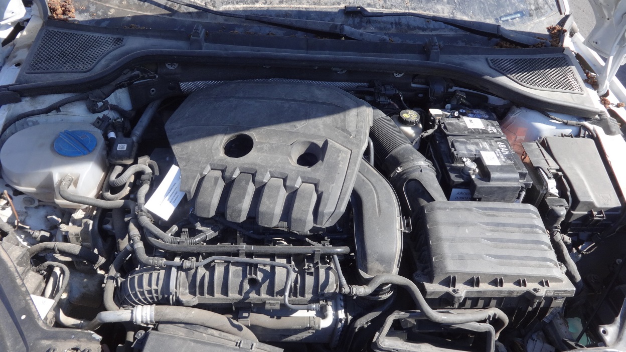 תמונת חלף