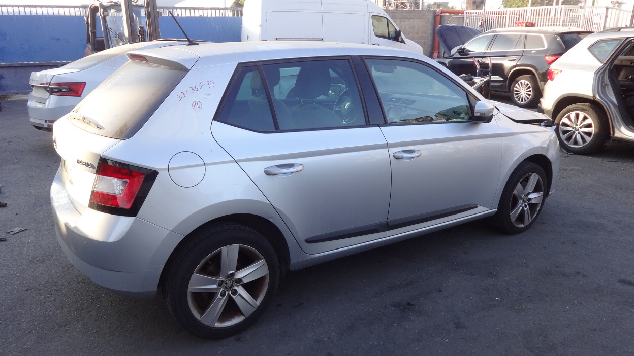תמונת חלף