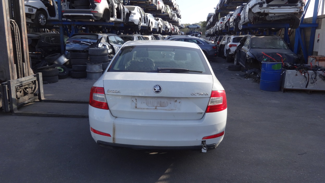 תמונת חלף